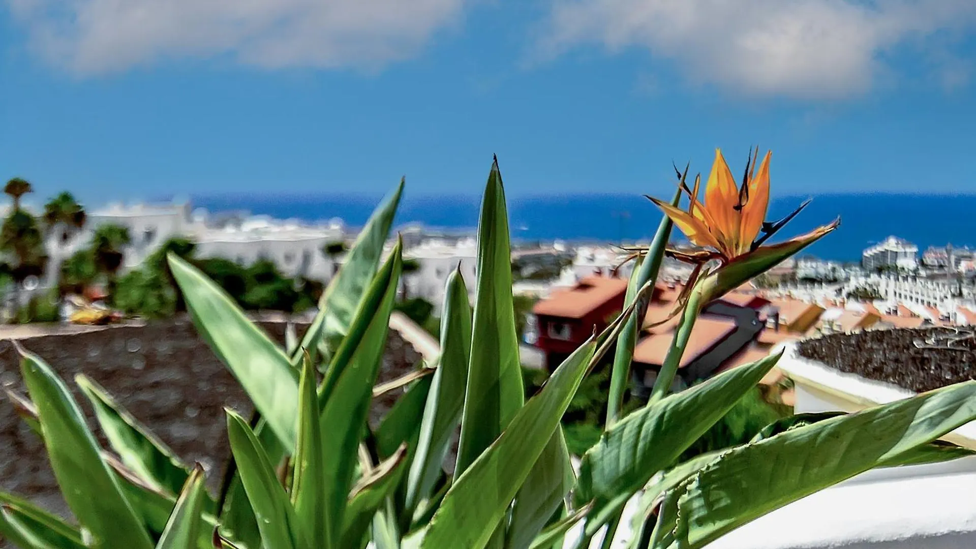 Villa Las Mimosas Costa Adeje